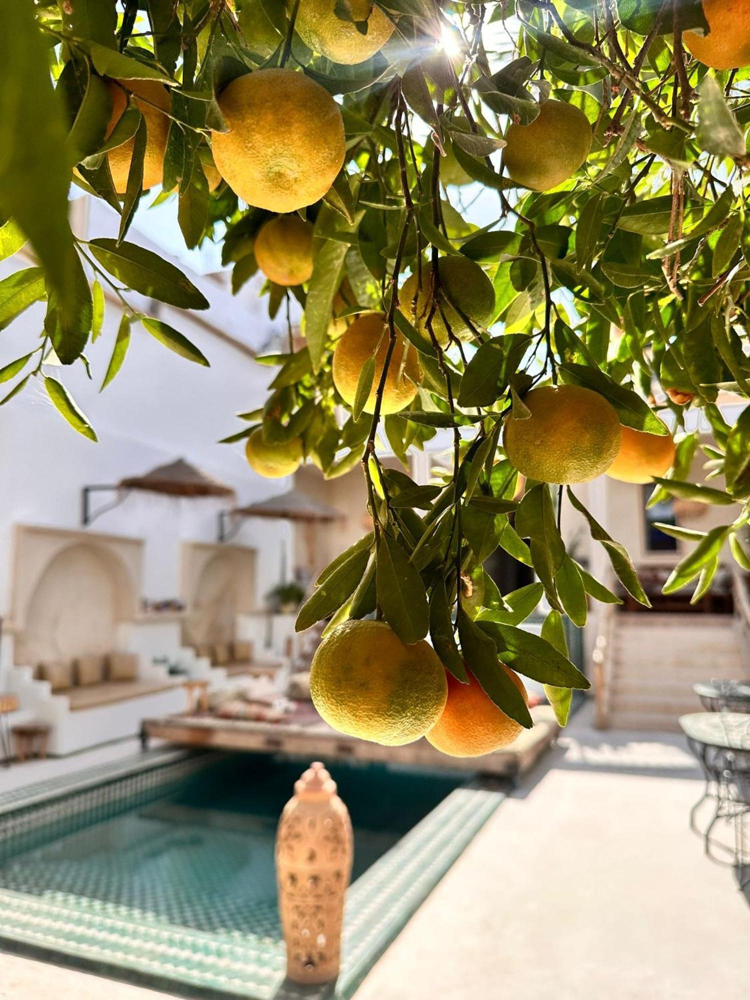 タルーダント Dar Salam Souss Bed & Breakfast エクステリア 写真